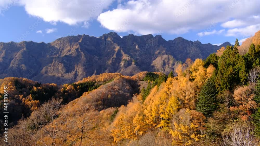 大望峠の紅葉 大望峠の紅葉