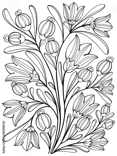 coloring plants flowers fantastic amazing graphics outline for kids and adults vector sketch hand drawing on white background isolate doodle antistress stroke postcard page