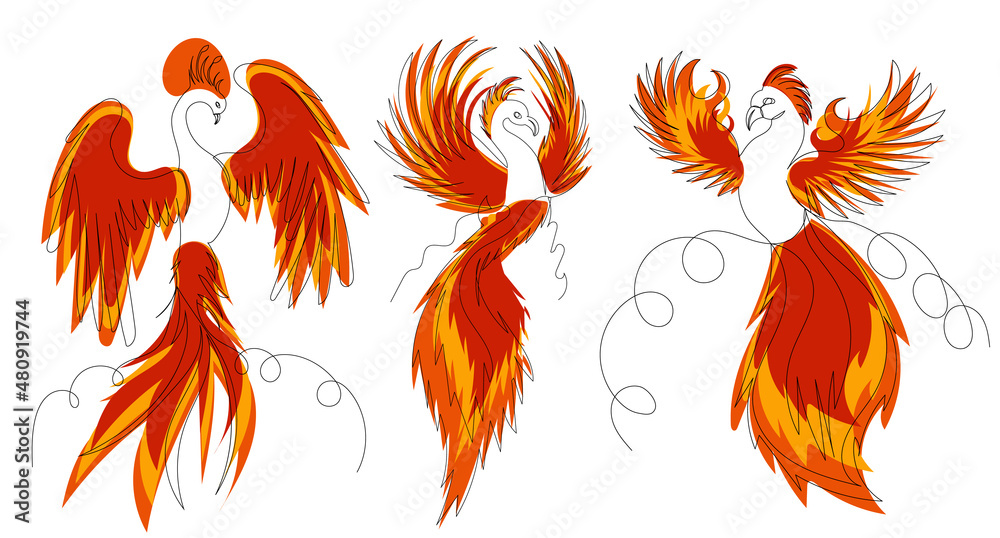 Obraz premium firebird,phoenix sketch drawing in one continuous line