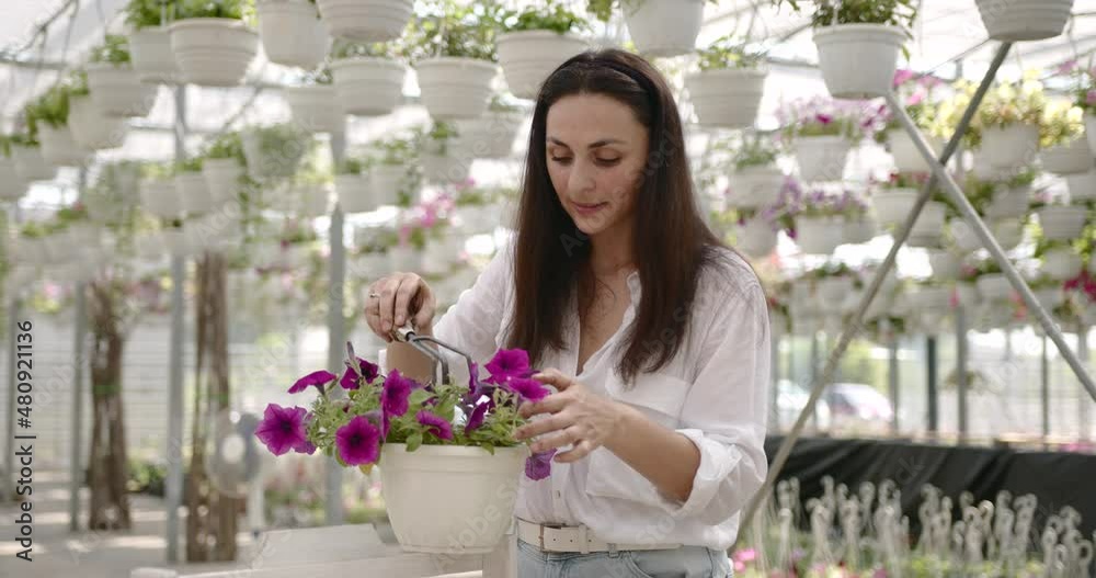 European woman weeding potted flower at greenhouse European woman weeding potted flower at greenhouse