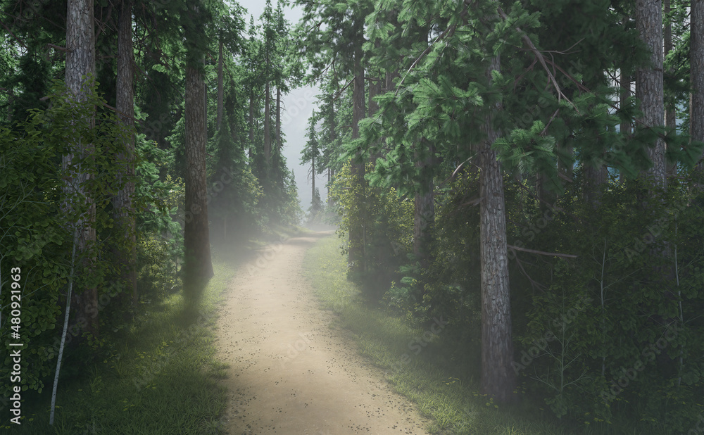 Obraz premium Path in a misty pine tree forest on a summer day. 3D render.