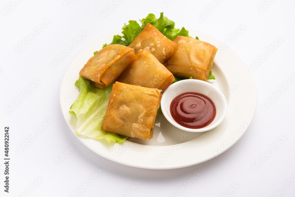 Chinese samosa square shape