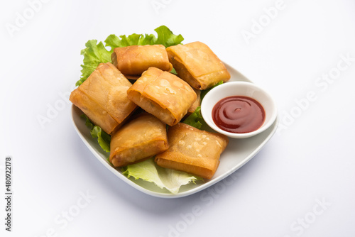 Chinese samosa square shape