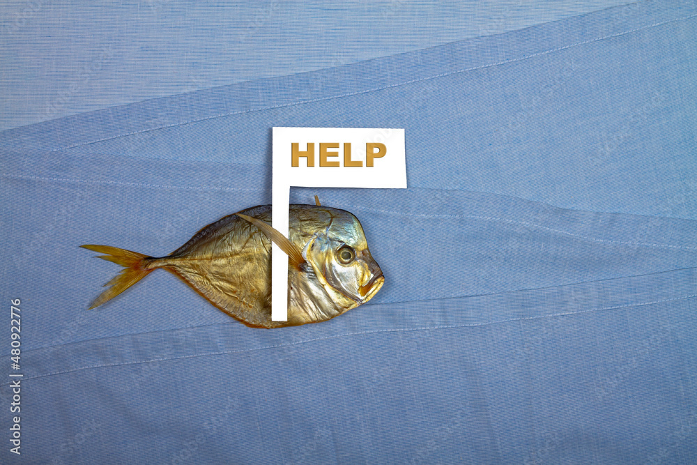 The concept of helping and saving the seas and oceans, dry dead fish swims on blue water with a white flag with the inscription help