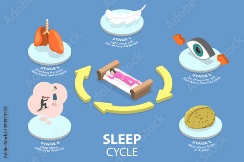 3D Isometric Flat Vector Conceptual Illustration of Sleep Cycle
