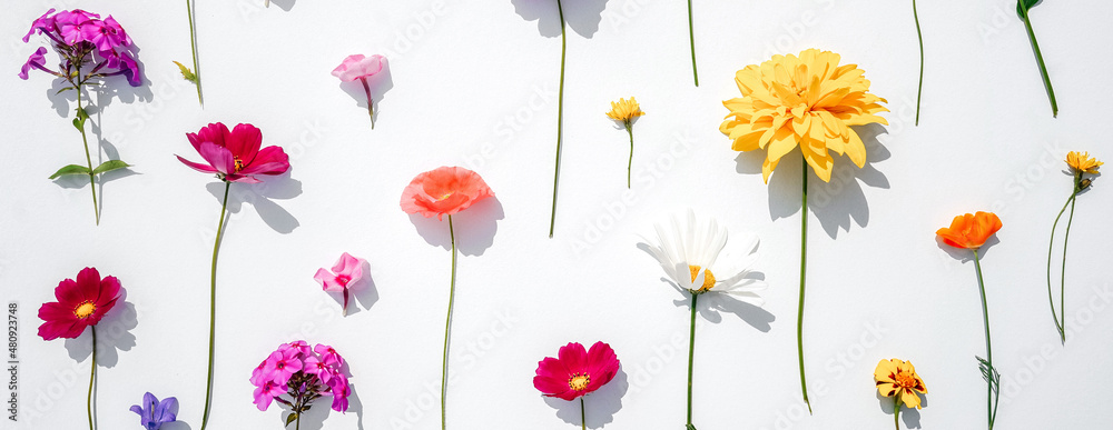 Floral pattern on white background, web banner.