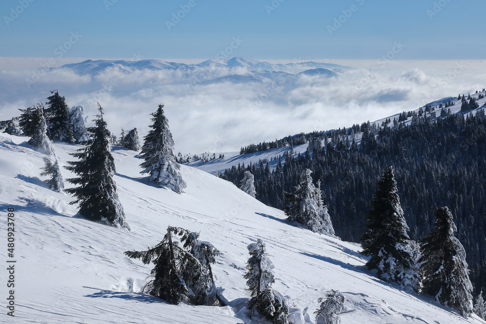 Winter Mountain Landscape Above The Clouds On The Sunny Day