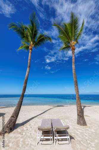 Coco palms on tropical beach with lounge chairs and the turquoise sea on Caribbean island.