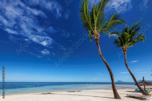 Fototapeta Naklejka Na Ścianę i Meble -  Paradise Sunny beach with palms and Caribbean sea. Summer vacation and tropical beach concept.	
