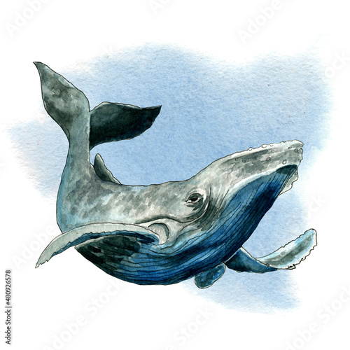 Watercolor whale on the abstract stain. Sketch style. Design for postcard, print on bag or t-shirt.