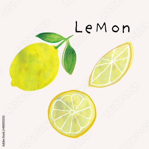 Lemon fruit watercolor illustration set. Painterly watercolor texture and ink drawing elements. Hand drawn and hand painted
