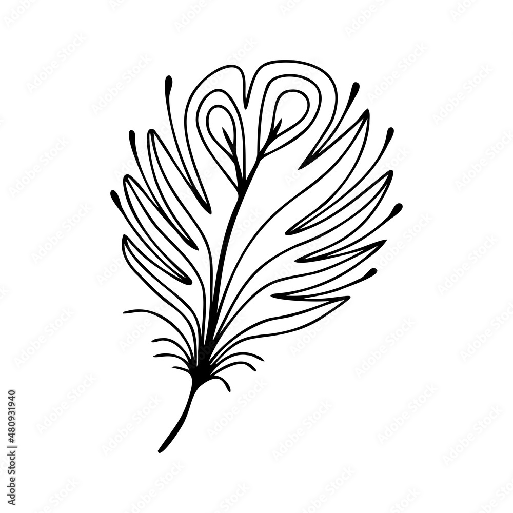 Hand drawn bird feather on a white isolated background. Doodle, simple outline illustration. It can be used for decoration of textile, paper and other surfaces. Hand drawn bird feather on a white isolated background. Doodle, simple outline illustration. It can be used for decoration of textile, paper and other surfaces.