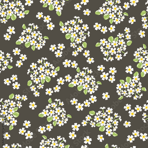 Primrose Spring Garden flower hand drawn vector seamless pattern. Vintage Romantic Liberty inspired Petite floral ditsy print. Bloomy calico dark background for fashion fabric or home textile