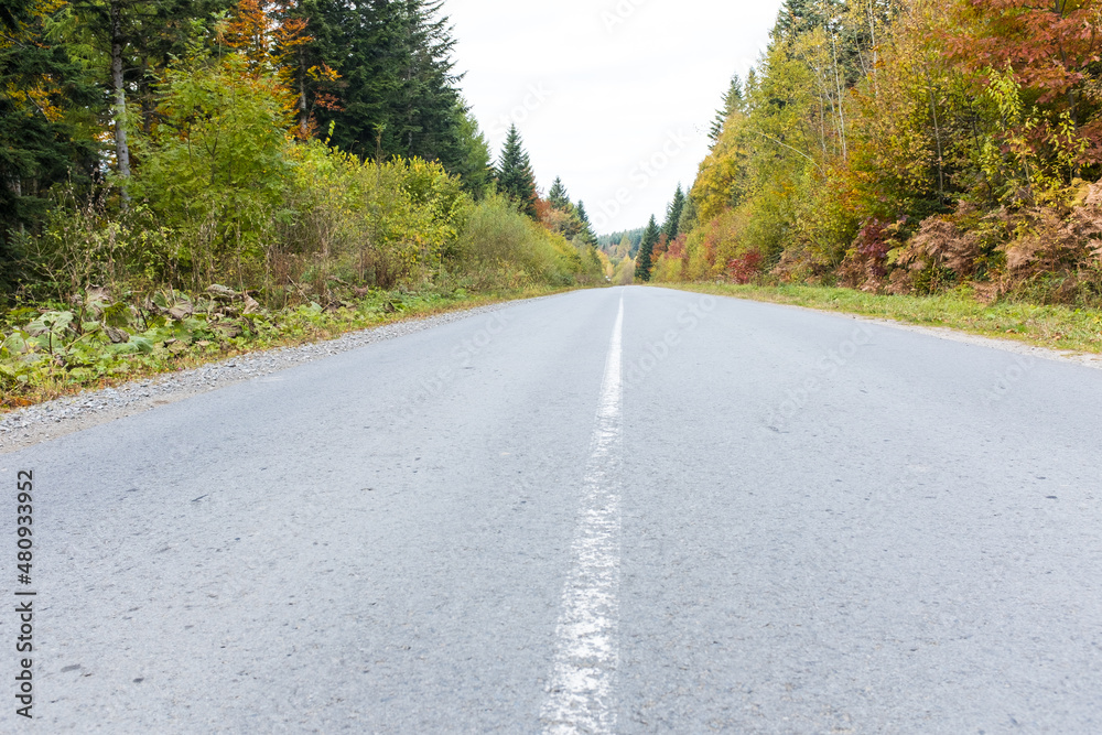 Asphalt road through the deep forest. Nature background. Asphalt road through the deep forest. Nature background.