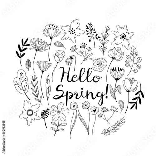 Set of hand drawn spring flowers and plants in line art style, isolated vector illustrations