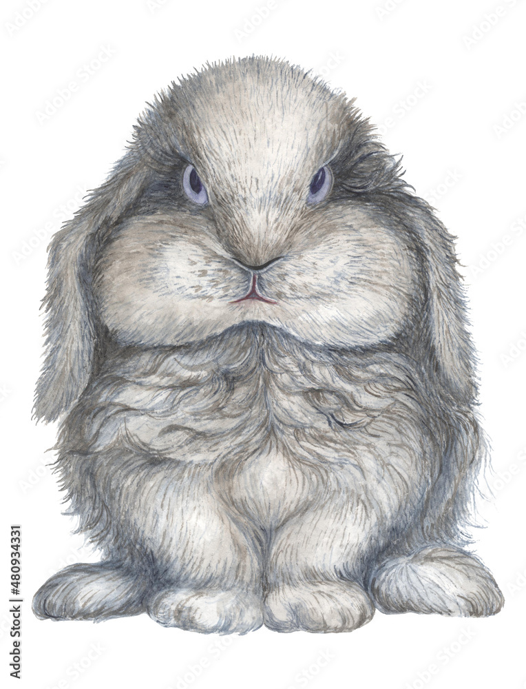 Watercolor image of a cute gray rabbit with a funny face. Made by hand. Watercolor image of a cute gray rabbit with a funny face. Made by hand.