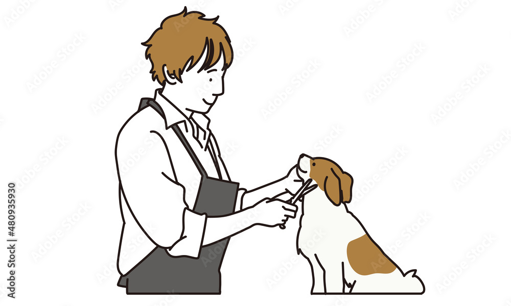 犬の手並みを整えるトリマー 犬の手並みを整えるトリマー