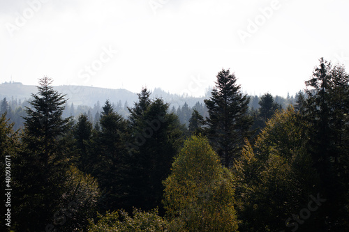 mountains of the Carpathians. Fog in the mountains