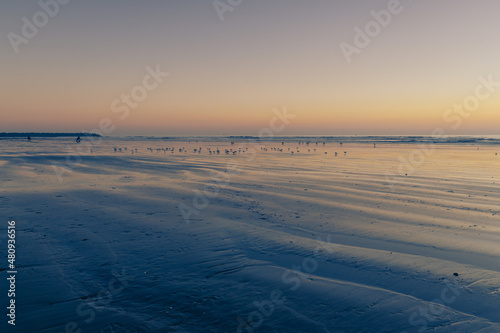 beach with linear formations in the sand with water with small birds eating