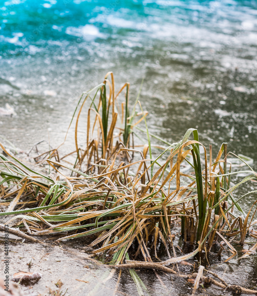 Winter season, landscape and nature. Freezing weather Winter season, landscape and nature. Freezing weather