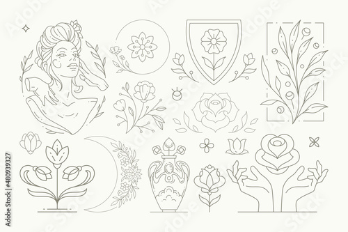 Line art elegant feminine blossom monochrome set with decorative botanical design elements