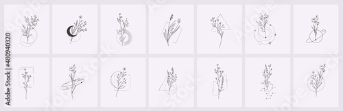 Fotomurale Floral branch and minimalist flowers for logo or tattoo