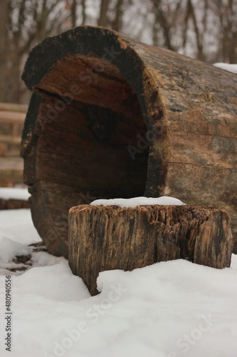 log in the snow © Lina