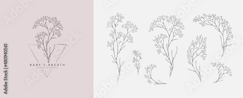 Limonium, babys breath logo and branch. Hand drawn wedding herb, plant and monogram with elegant leaves for invitation save the date card design