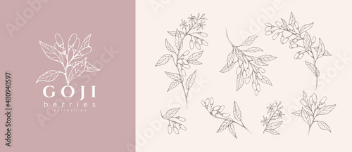 Goji berries flowers floral branch and logo set. Hand drawn line herb, elegant leaves for invitation save the date card. Botanical rustic trendy greenery