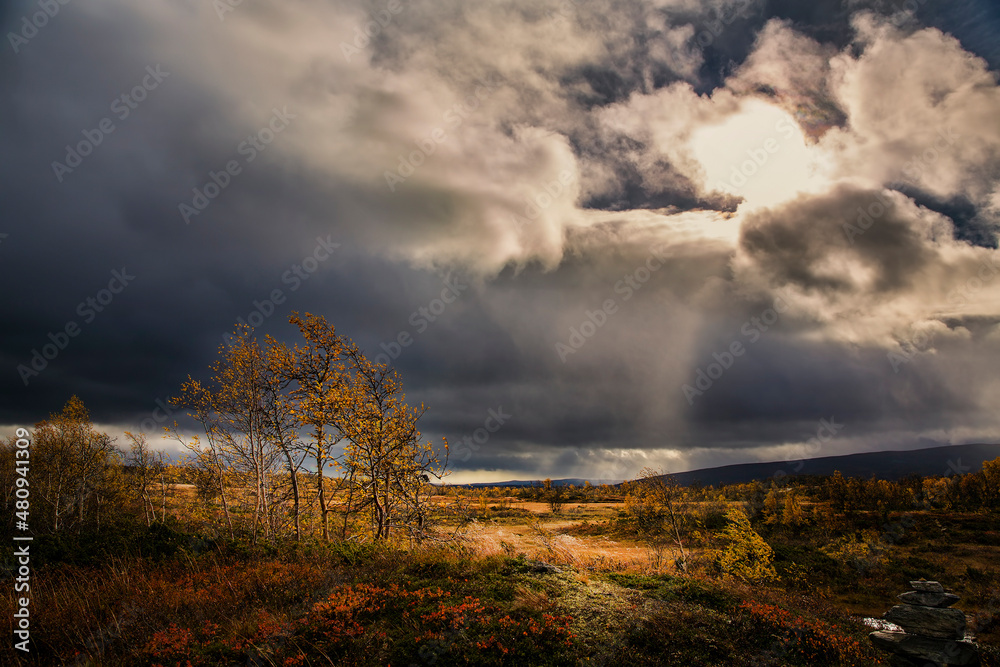Autumn Storm Near Beitostolen, Norway Autumn Storm Near Beitostolen, Norway