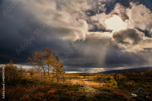 Autumn Storm Near Beitostolen, Norway