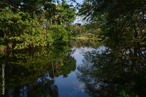 lake in the forest