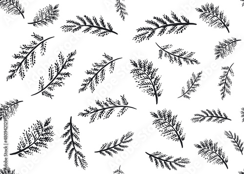 Branches collection hand drawn, vector. Poster Mural XXL