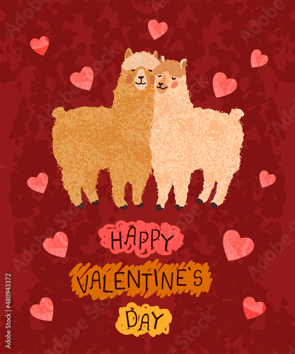 Vector colorful greeting card with cute illustration a couple of llamas in love. Flyers, invitation, poster, brochure, banner. Happy Valentines Day