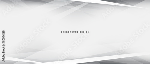 Fotografie, Obraz white and gray vector abstract texture background template design