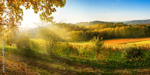 Scenic rural landscape in autumn with vineyards  hills  vibrant blue sky and rays of sunlight