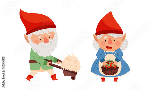 Gnome daily routine activities. Cute scandinavian gnomes in red caps with wooden wheelbarrow and basket of flowers cartoon vector illustration