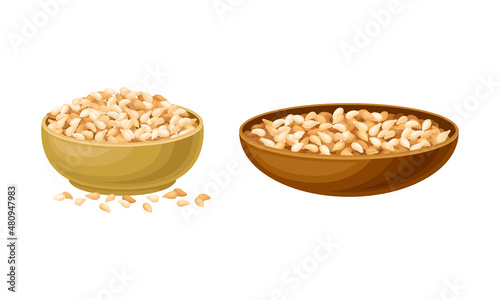 Cereal grains set. Wooden bowls of wheat, barley or rye grains vector illustration