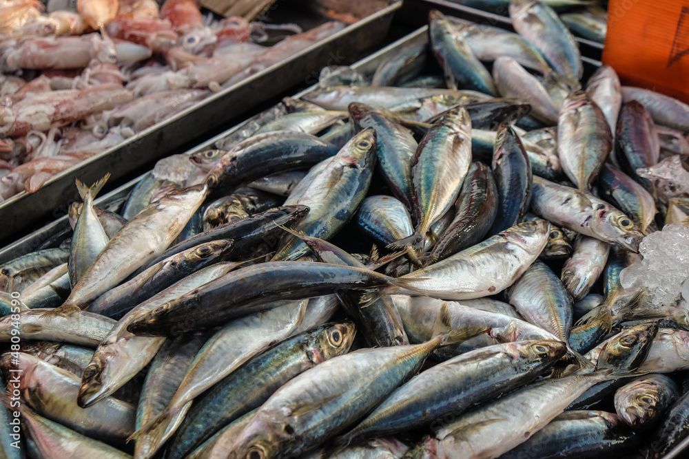 Tuna fish sell in local fishery market