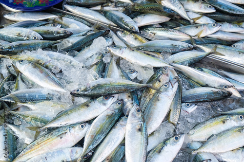 Tuna fish sell in local fishery market © themorningglory