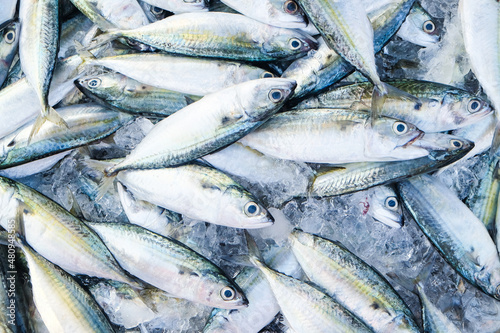 Tuna fish sell in local fishery market © themorningglory