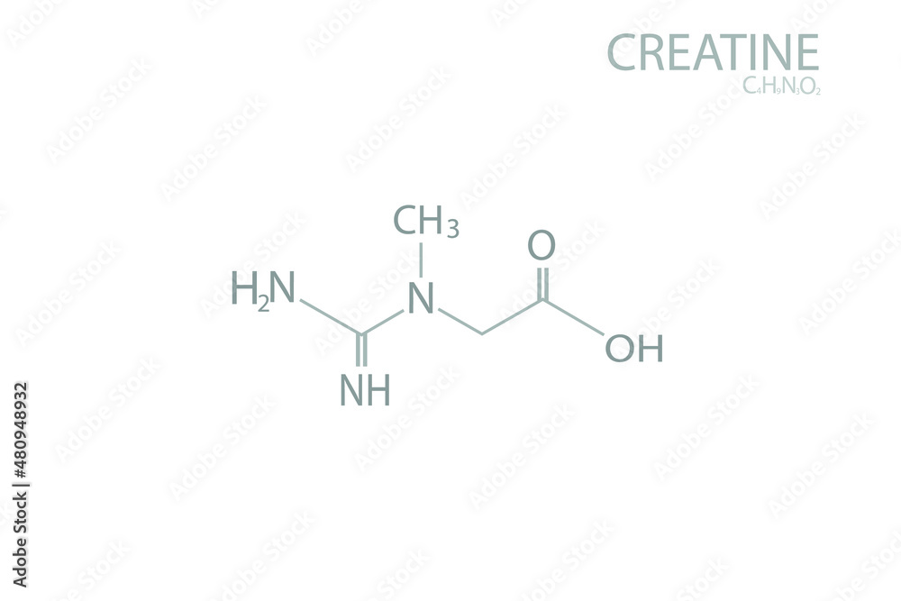 Creatine molecular skeletal chemical formula. Creatine molecular skeletal chemical formula.