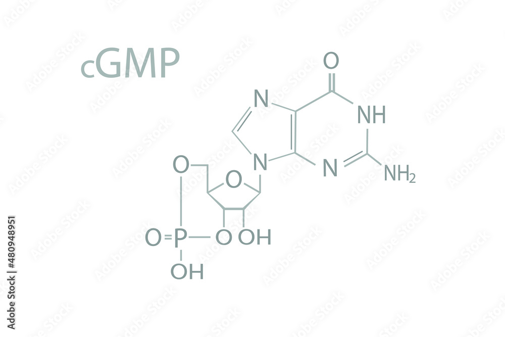 Cyclic guanosine monophosphate (cGMP) molecular skeletal chemical formula.	