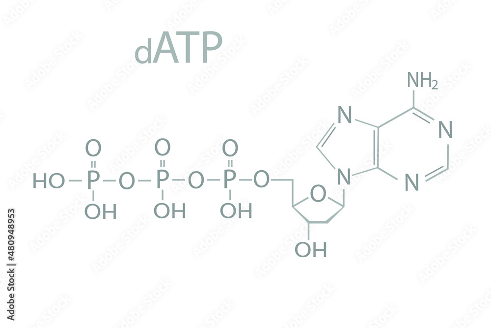 Deoxyadenosine triphosphate nucleotide (dATP) molecular skeletal chemical formula.	