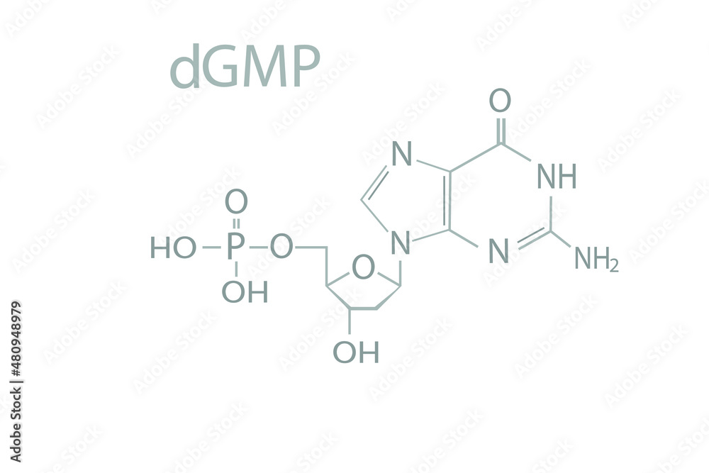 Deoxyguanosine monophosphate (dGMP) molecular skeletal chemical formula.	