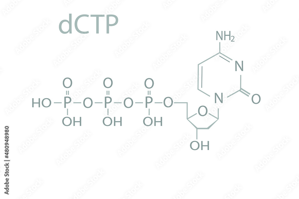 Deoxycytidine triphosphate nucleotide (dCTP) molecular skeletal chemical formula.	