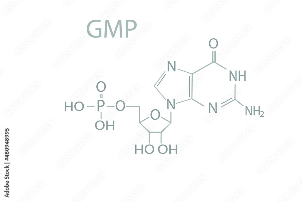 Guanosine monophosphate (GMP) molecular skeletal chemical formula. Guanosine monophosphate (GMP) molecular skeletal chemical formula.