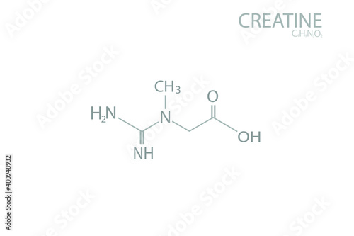 Creatine molecular skeletal chemical formula.	