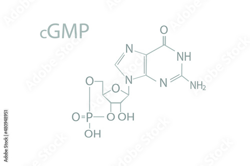 Cyclic guanosine monophosphate (cGMP) molecular skeletal chemical formula.	