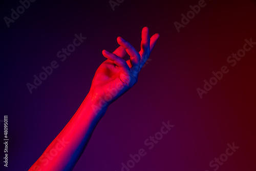 Studio shot of aethentic human hands isolated on purple studio background in neon light. Concept of human relation, community, togetherness